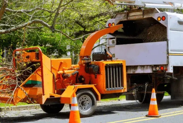 tree removal lancaster pa