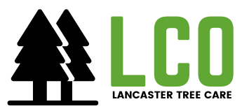 LCO Tree Care